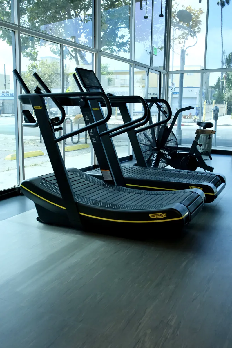 Technogym treadmills lined up by the windows on the terracotta floor